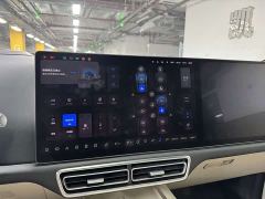 Li Auto L9 Max - ფოტო 12