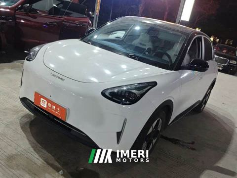 2024 Geely Xing Yuan 310km Dream Edition - ავტომობილი ჩინეთიდან