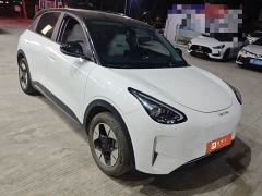 Geely Xing Yuan 310km Dream Edition - ფოტო 2