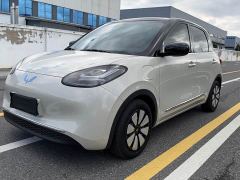Wuling Binguo 333km Joy Edition - ფოტო 1