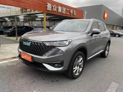 Haval H6 New Energy DHT-PHEV 110KM Joy Edition - photo 1