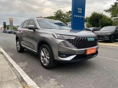 Haval H6 New Energy DHT-PHEV 110KM Joy Edition - photo 3