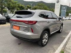 Haval H6 New Energy DHT-PHEV 110KM Joy Edition - photo 7