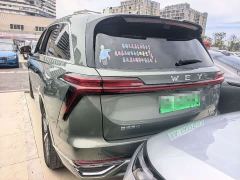 Great Wall WEY Blue Mountain Four-Wheel Drive Max - ფოტო 4