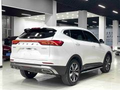 Haval H6 National Trend Edition 1.5T Automatic Champion Version - фото 15