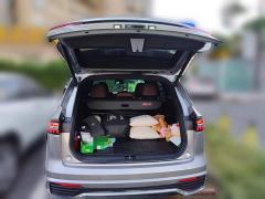 Geely Xingyue L 2.0T High-Power Auto FWD Cloud Rising Edition - photo 9