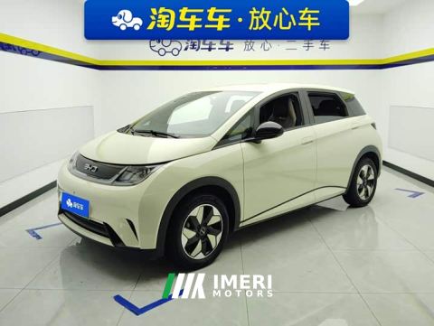 2025 BYD Dolphin 420km Freedom Edition - ავტომობილი ჩინეთიდან