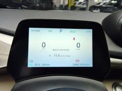 BYD Dolphin 420km Freedom Edition - ფოტო 14