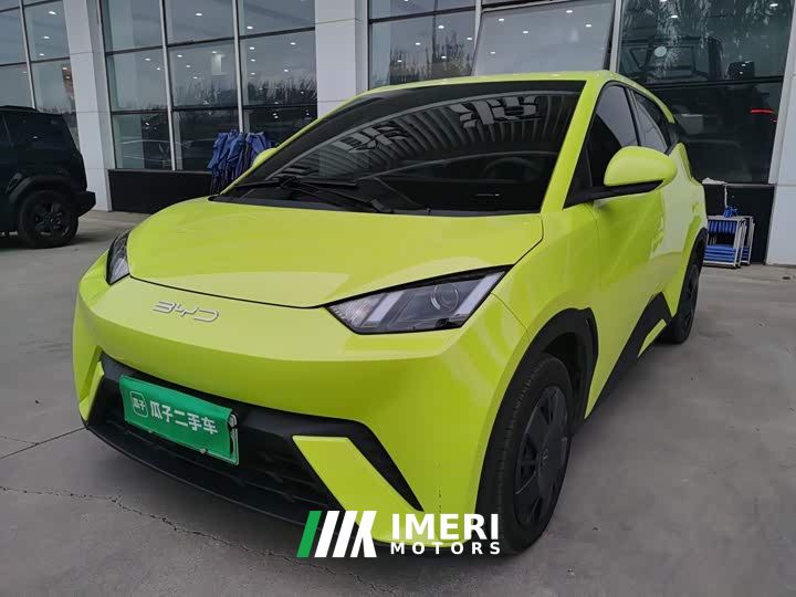 BYD Seagull Vitality Edition - ავტომობილი ჩინეთიდან