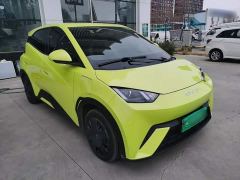 BYD Seagull Vitality Edition - ფოტო 3