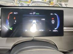 BYD Destroyer 05 Glory Edition DM-i 55KM Luxury - ფოტო 11