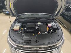 BYD Destroyer 05 Glory Edition DM-i 55KM Luxury - ფოტო 19