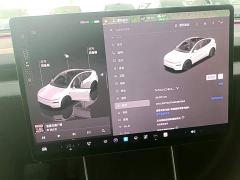 Tesla Model Y Rear-Wheel Drive - ფოტო 11