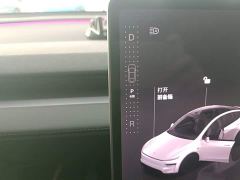 Tesla Model Y Rear-Wheel Drive - ფოტო 13