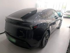 Tesla Model Y Rear-Wheel Drive - ფოტო 6