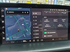 XPeng P7 P7i 702 Max - ფოტო 8