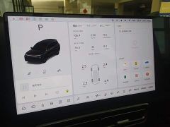 Li Auto L9 Pro - ფოტო 11