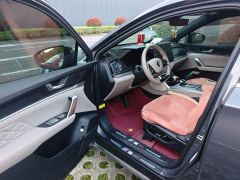 BYD Yuan Plus DM-i Glory Edition 112KM Premium - photo 17