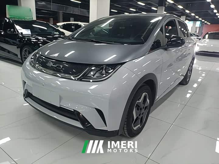 BYD Dolphin 405km Freedom Edition - car from China