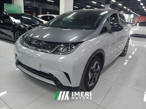 2022 BYD Dolphin 405km Freedom Edition - car from China