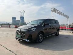 Buick GL8 Land Official Business Class 652T Comfort Edition - ფოტო 1