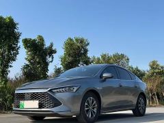 BYD Qin Plus DM-i 55KM Luxury - photo 1