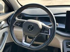 BYD Qin Plus DM-i 55KM Luxury - photo 15