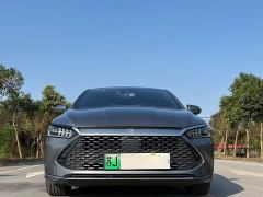 BYD Qin Plus DM-i 55KM Luxury - photo 2