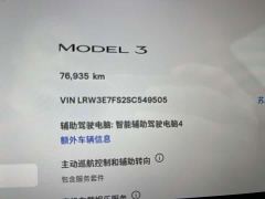 Tesla Model 3 Rear-Wheel Drive - photo 6