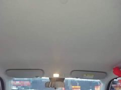 Changan Lumin Treasure Edition 205km Cool Love White CATL - photo 17