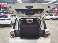 Changan Lumin Treasure Edition 205km Cool Love White CATL - photo 18