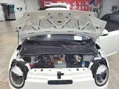 Changan Lumin Treasure Edition 205km Cool Love White CATL - photo 19