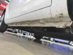 Changan Lumin Treasure Edition 205km Cool Love White CATL - photo 20
