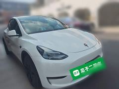 Tesla Model Y Long Range All-Wheel Drive - фото 3