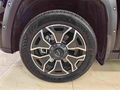 Haval Big Dog PLUS New Energy Hi4 102km Trendy Electric Edition Plus - фото 10