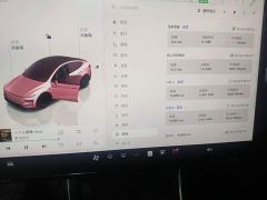 Tesla Model Y Rear-Wheel Drive - ფოტო 11