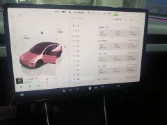 Tesla Model Y Rear-Wheel Drive - ფოტო 12