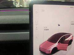Tesla Model Y Rear-Wheel Drive - ფოტო 13
