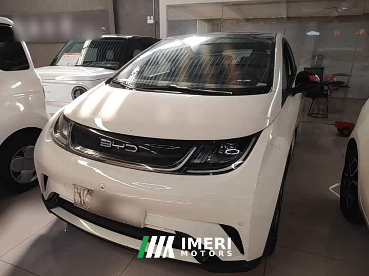 BYD Dolphin 420km Fashion Edition - car from China