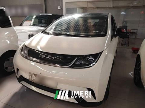 2023 BYD Dolphin 420km Fashion Edition