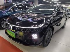 Voyah Lantu Zhiyin Four-Wheel Drive Global Edition - фото 1