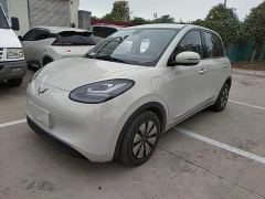 Wuling Binguo 333km Joy Edition - ფოტო 1