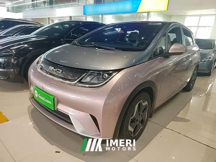 BYD Dolphin 405km Fashion Edition - ავტომობილი ჩინეთიდან