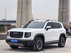 Great Wall Dachshund 2.0T DCT Four-wheel Drive Howling Heavenly Dog Edition - ფოტო 1