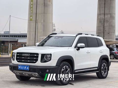 2021 Great Wall Dachshund 2.0T DCT Four-wheel Drive Howling Heavenly Dog Edition - ავტომობილი ჩინეთიდან