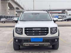 Great Wall Dachshund 2.0T DCT Four-wheel Drive Howling Heavenly Dog Edition - ფოტო 2