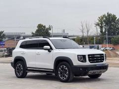 Great Wall Dachshund 2.0T DCT Four-wheel Drive Howling Heavenly Dog Edition - ფოტო 3