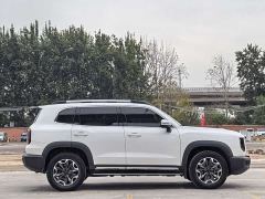 Great Wall Dachshund 2.0T DCT Four-wheel Drive Howling Heavenly Dog Edition - ფოტო 4