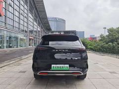 Denza X PHEV Premier Edition - ფოტო 6