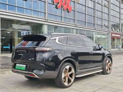 Denza X PHEV Premier Edition - ფოტო 8